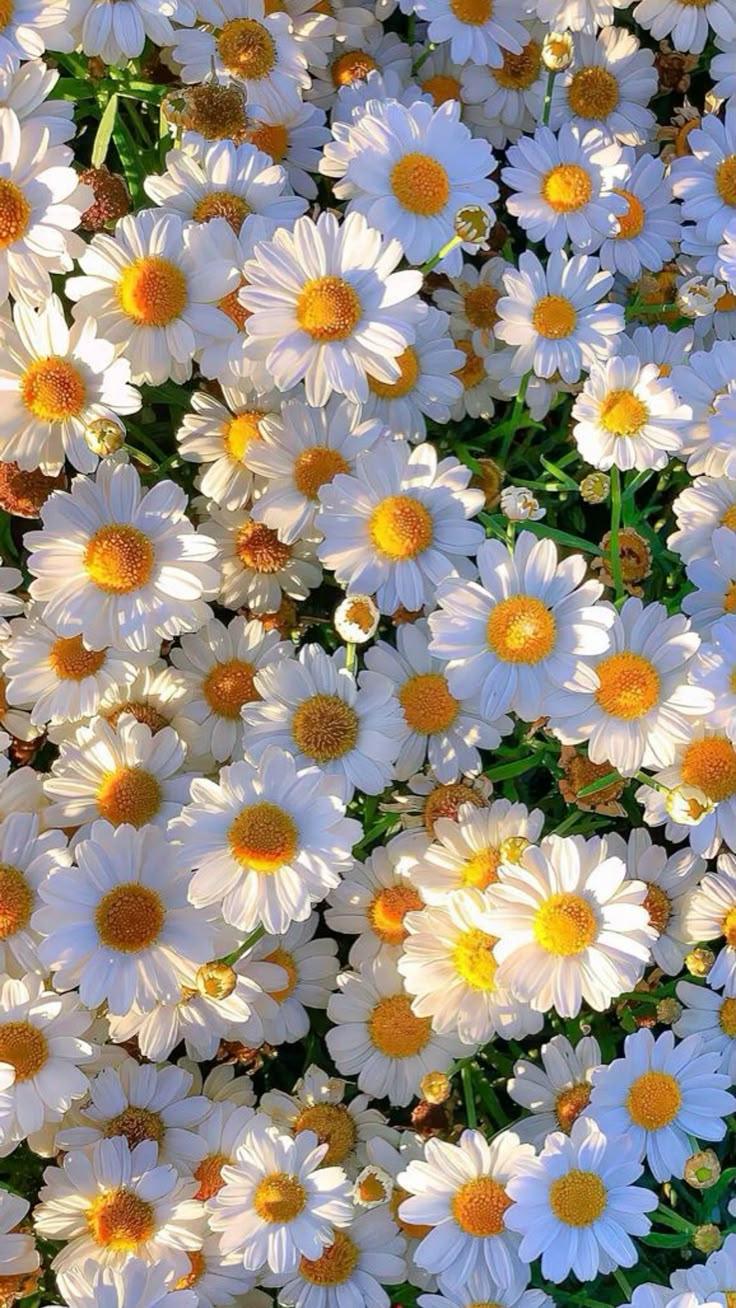 Garden's Embrace Vintage Blossom Array